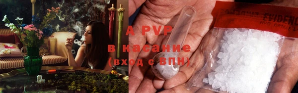 2c-b Новозыбков