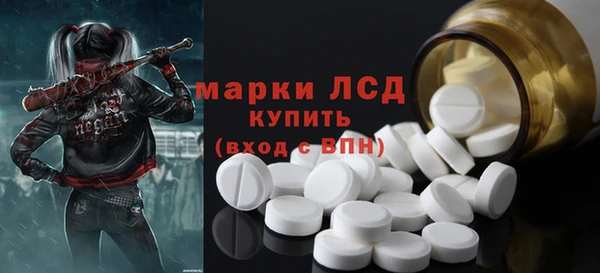 индика Новокубанск