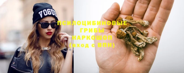 каннабис Новодвинск