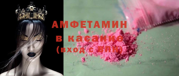 индика Новокубанск