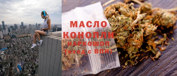 индика Новокубанск
