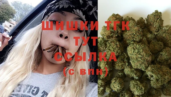 хмурый Сатка
