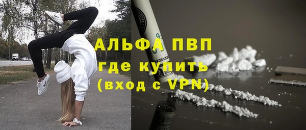 индика Новокубанск