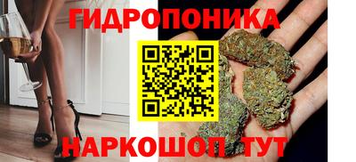 крисы Гай