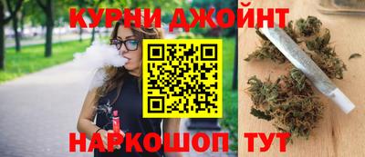 крисы Гай