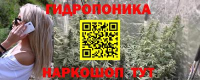 MESCALINE Гатчина