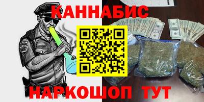крисы Гай
