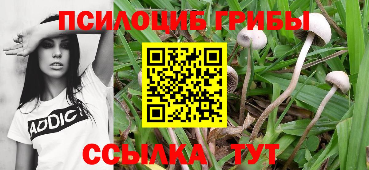 Псилоцибиновые грибы MAGIC MUSHROOMS Изобильный
