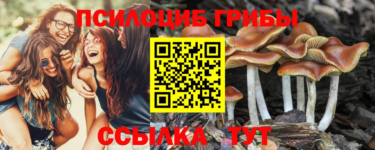 Псилоцибиновые грибы GOLDEN TEACHER Изобильный