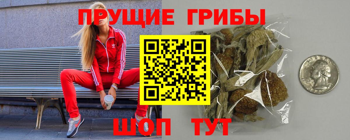 Изобильный  Псилоцибиновые грибы Psilocybe  купить закладку  Вход с VPN 